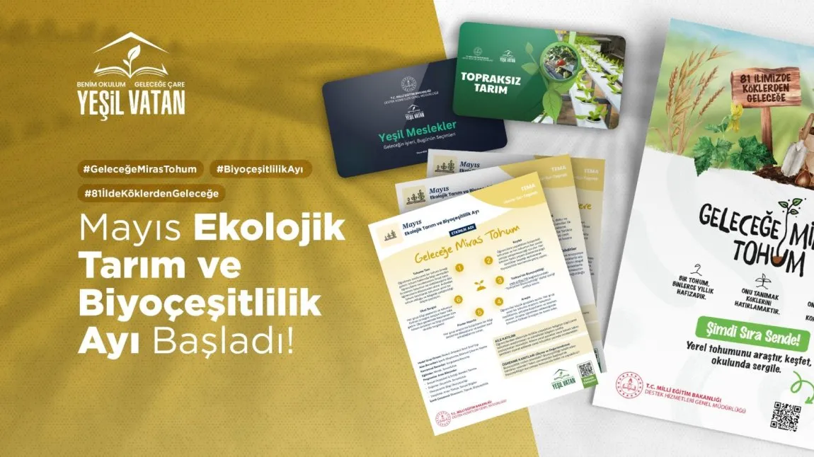 Beypazarı Şehit Sefa Tiftik Anadolu İmam Hatip Lisesi fotoğrafı
