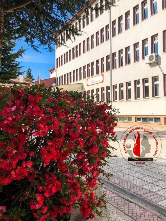 Bahçelievler Kız Mesleki Ve Teknik Anadolu Lisesi fotoğrafı