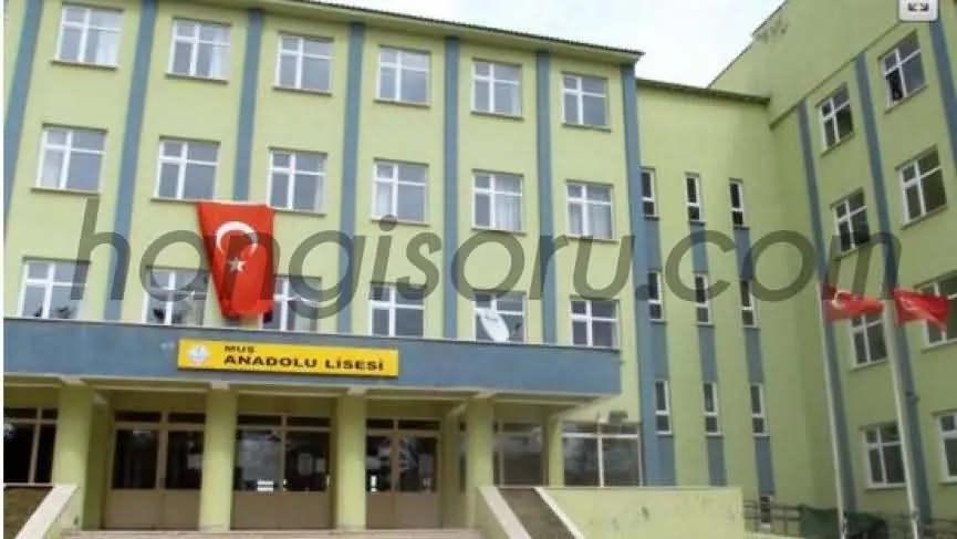 Muş Anadolu Lisesi
