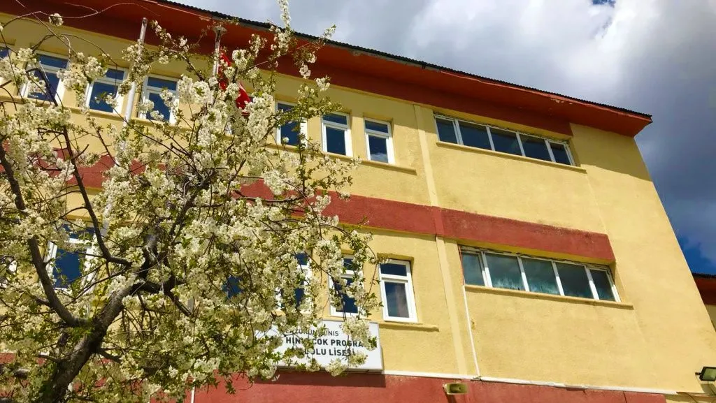 Hınıs Çok Programlı Anadolu Lisesi fotoğrafı