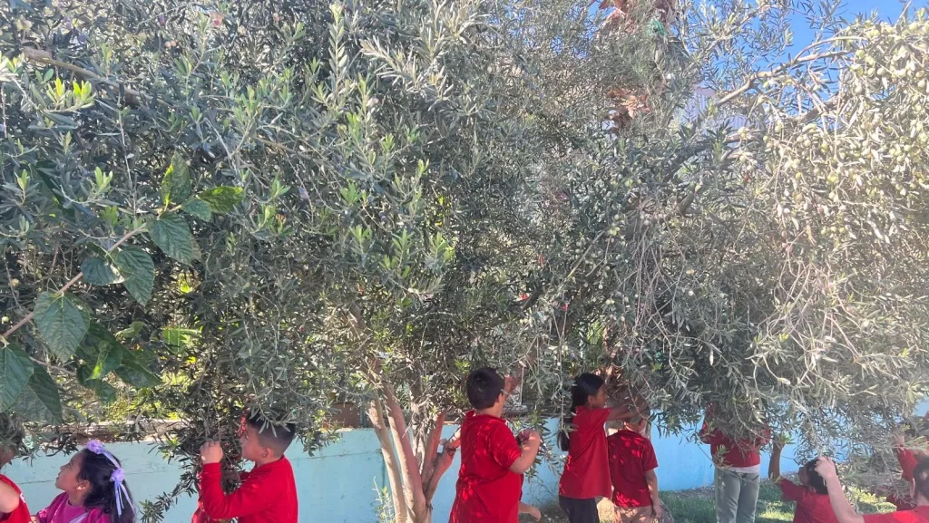 Yaylakaya İlkokulu fotoğrafı