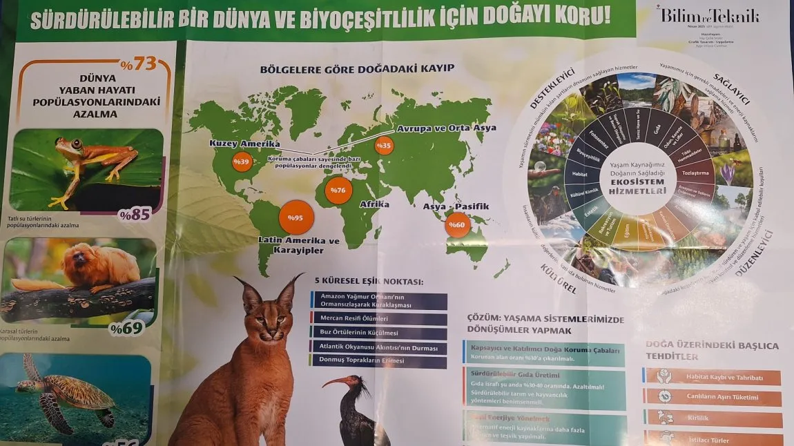 Gebze Mesude İşman Ortaokulu