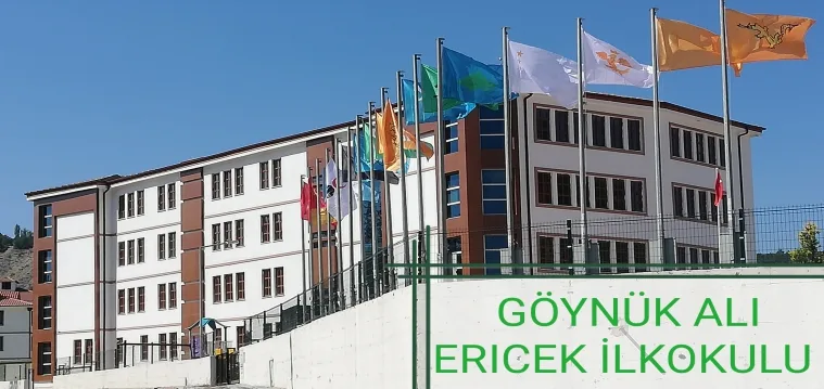 Göynük Ali Ericek İlkokulu fotoğrafı