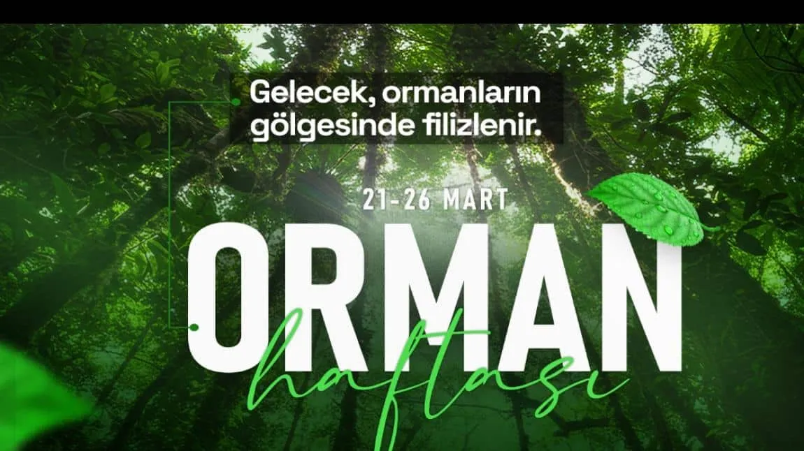Ülkü-Seyfi Kandemir Ortaokulu fotoğrafı