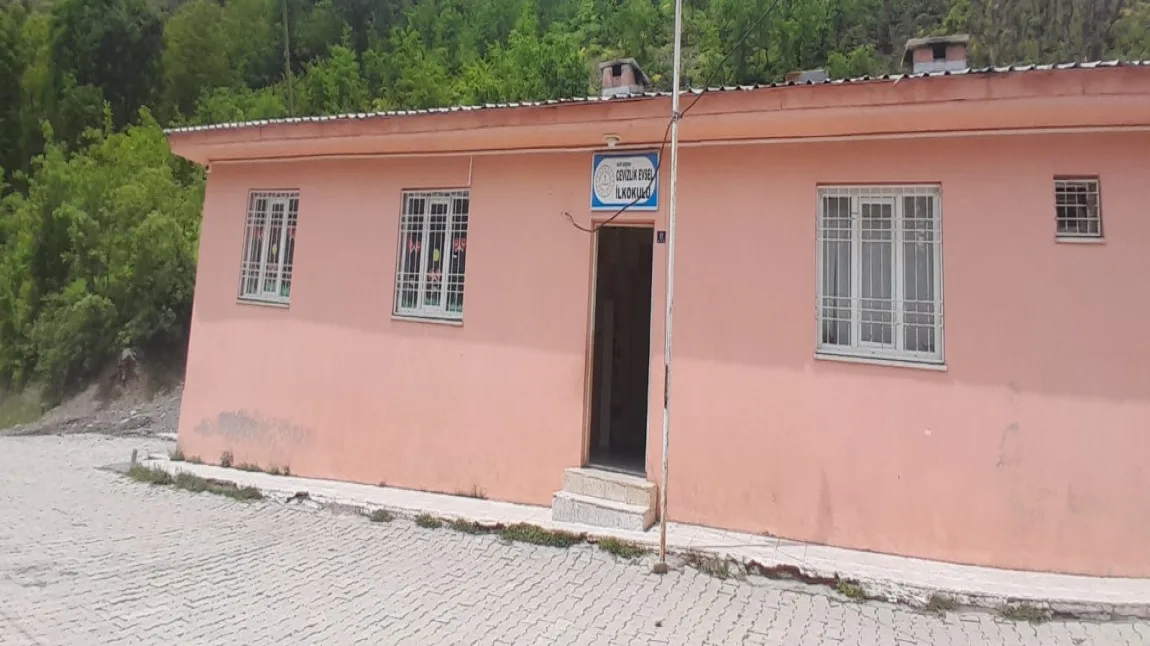 Cevizlik Ortaokulu fotoğrafı
