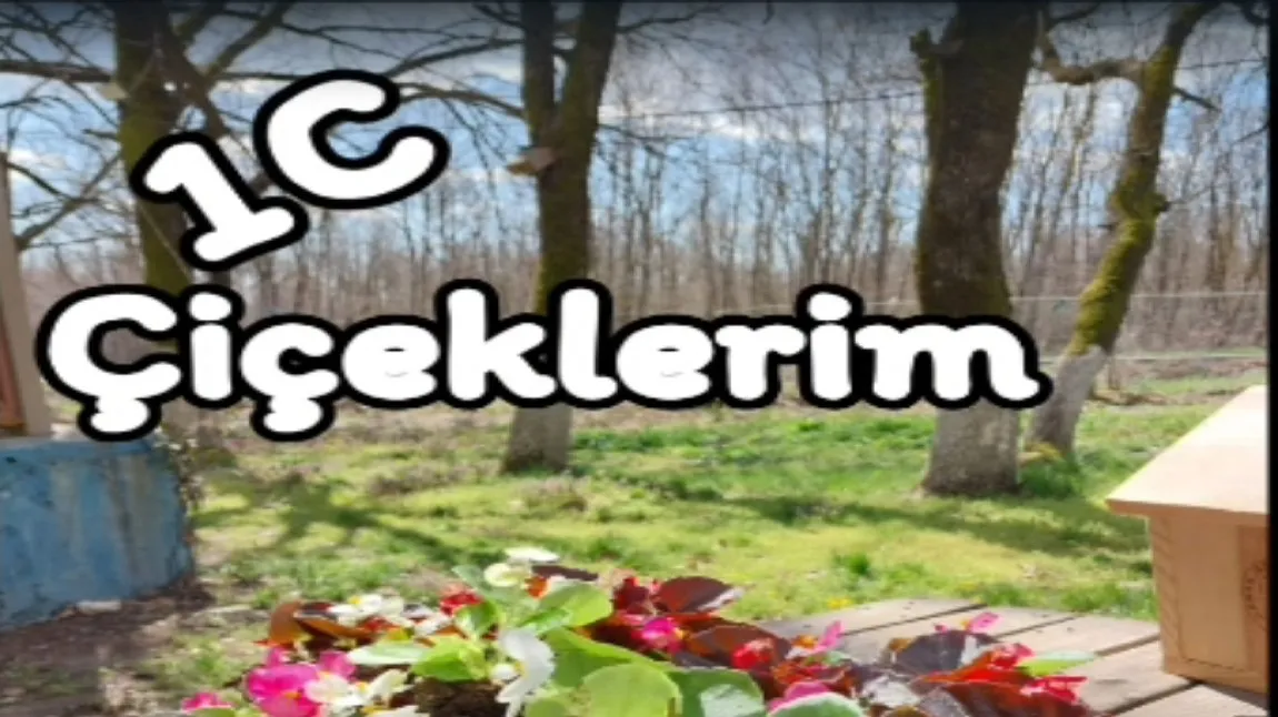 Arife Bekir Uğurlu İlkokulu fotoğrafı