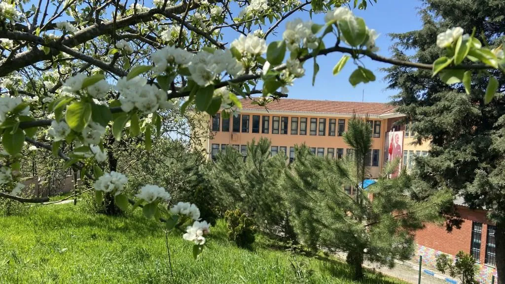 Dede Korkut Ortaokulu fotoğrafı
