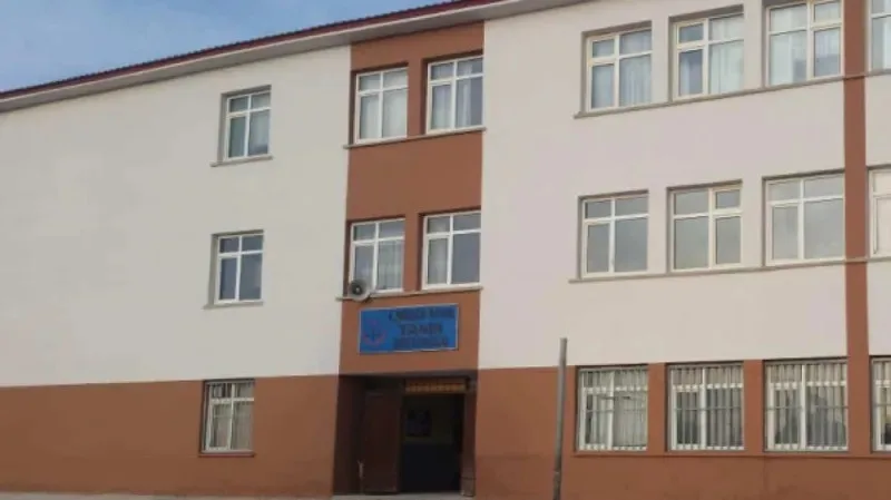 Tanır Şehit Sıtkı Çoban İlkokulu fotoğrafı