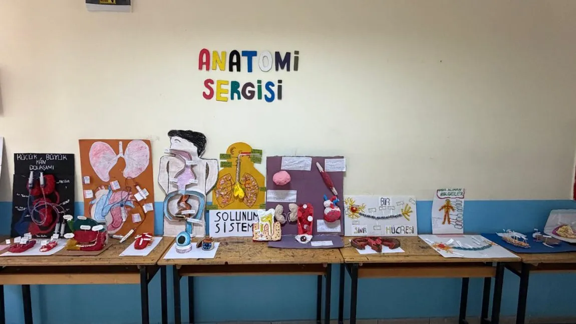 Göle Nurettin Yılmaz Mesleki Ve Teknik Anadolu Lisesi fotoğrafı