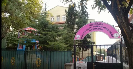 Ovacık Şehit Emrah Pekdoğan Anaokulu fotoğrafı