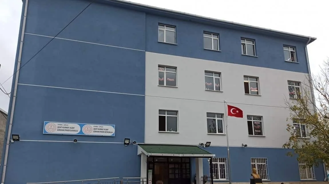 Şehit Kurmay Albay Gökhan Peker Ortaokulu fotoğrafı