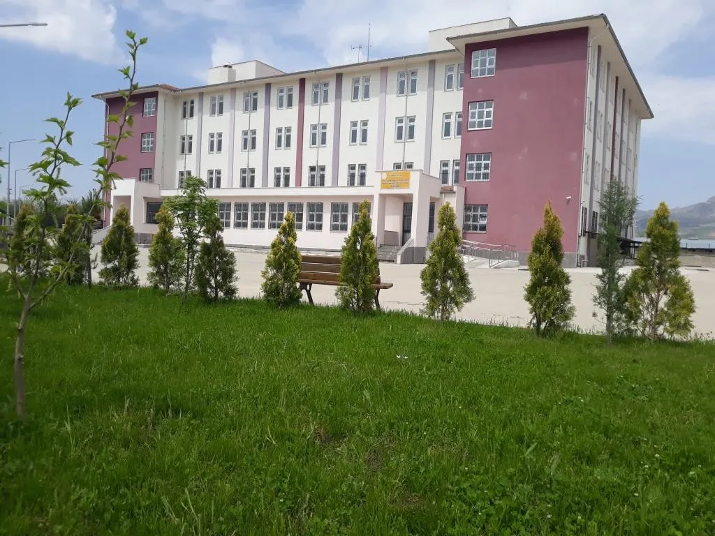 Molla Gürani Anadolu İmam Hatip Lisesi fotoğrafı
