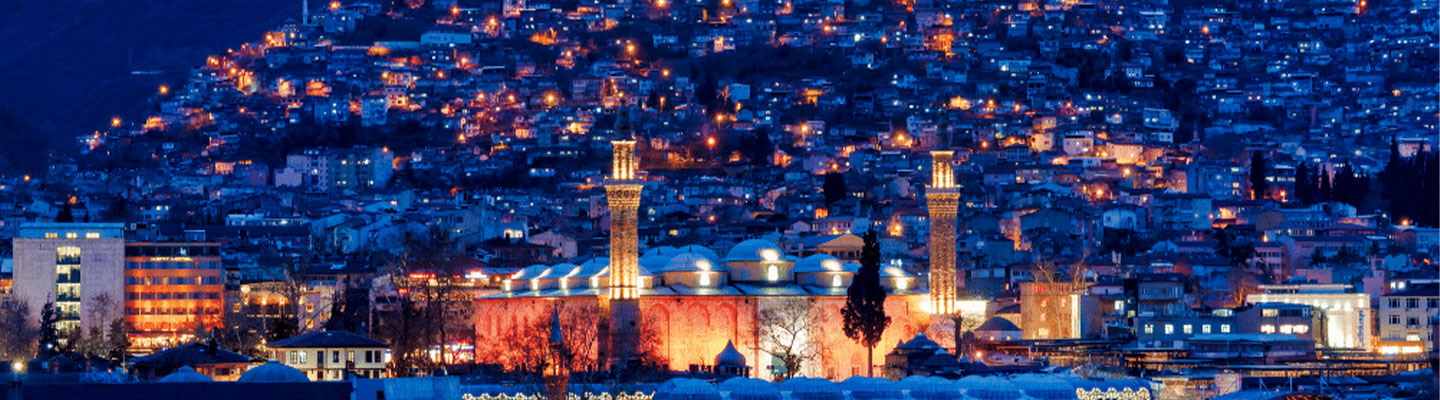 Bursa